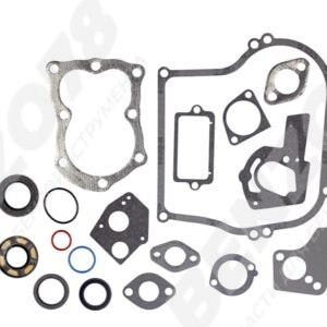 Комплект прокладок и сальников для двигателя briggs&stratton 495603