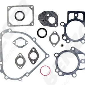 Комплект прокладок и сальников для двигателя briggs&stratton 695438
